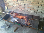 Slika