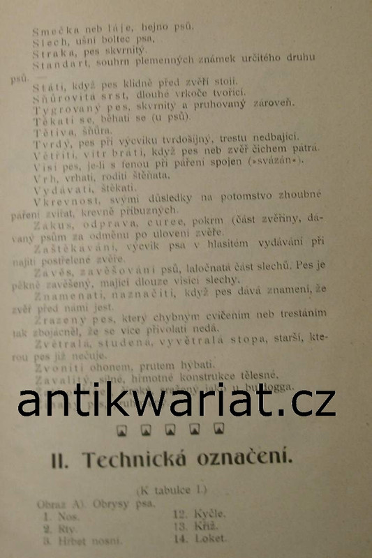 1wa Image00226