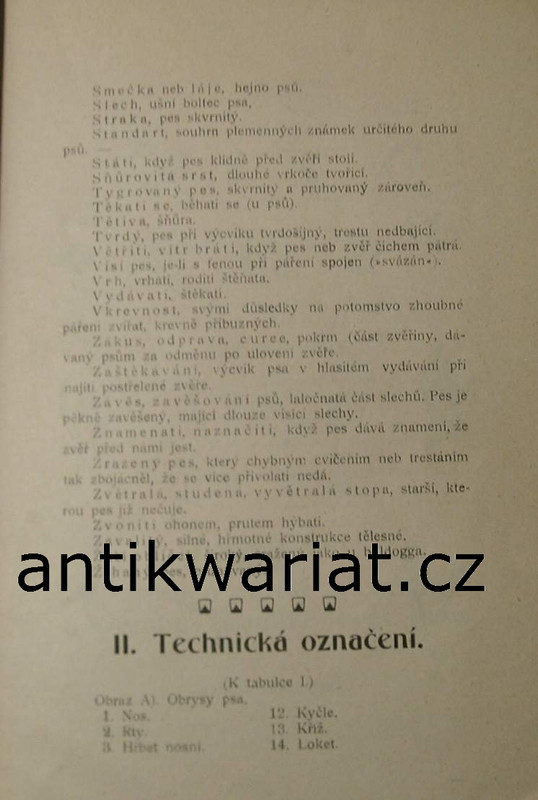 1wa Image00206