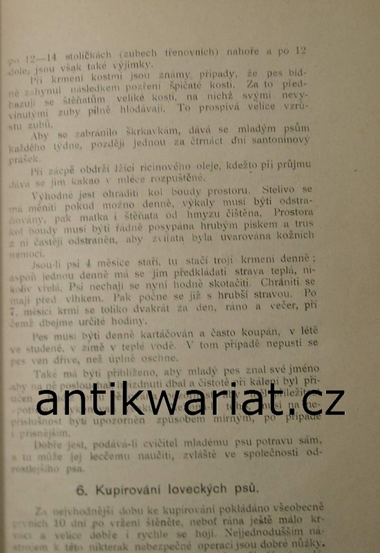 1wa Image00225
