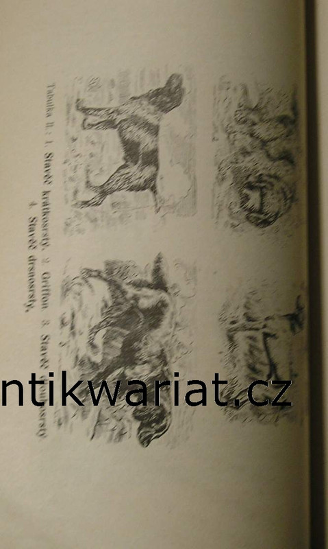1wa Image00218