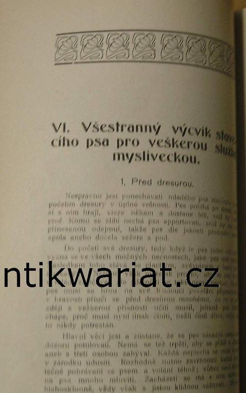 1wa Image00217