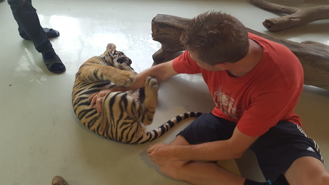 Chiang Mai - Tailandia y Camboya 2015, el viaje soñado (9)
