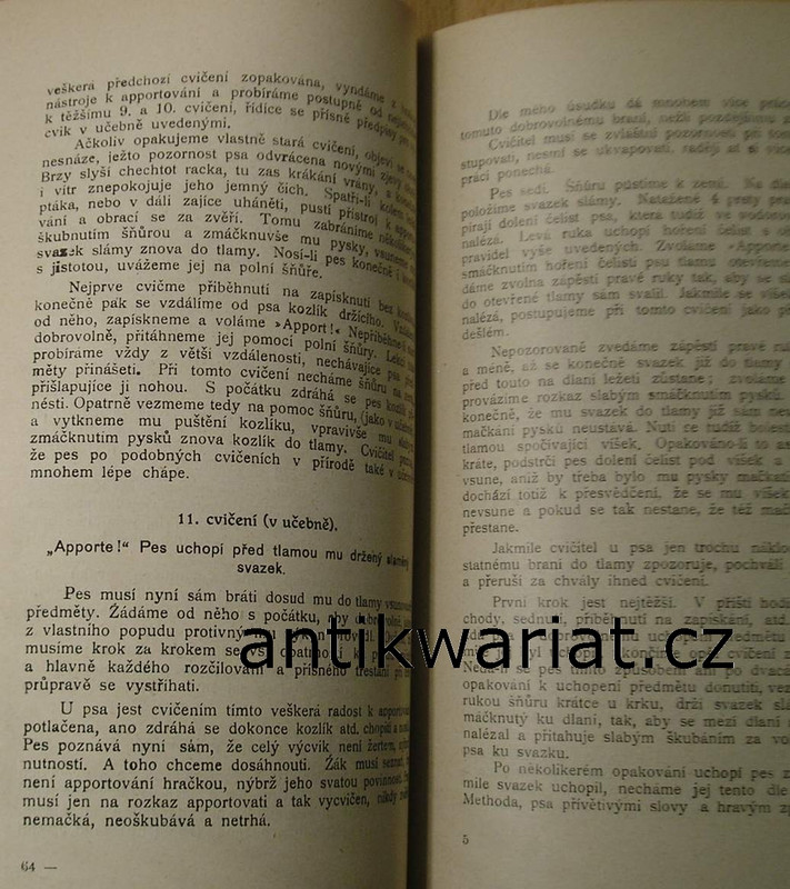 1wa Image00214