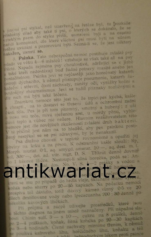 1wa Image00224
