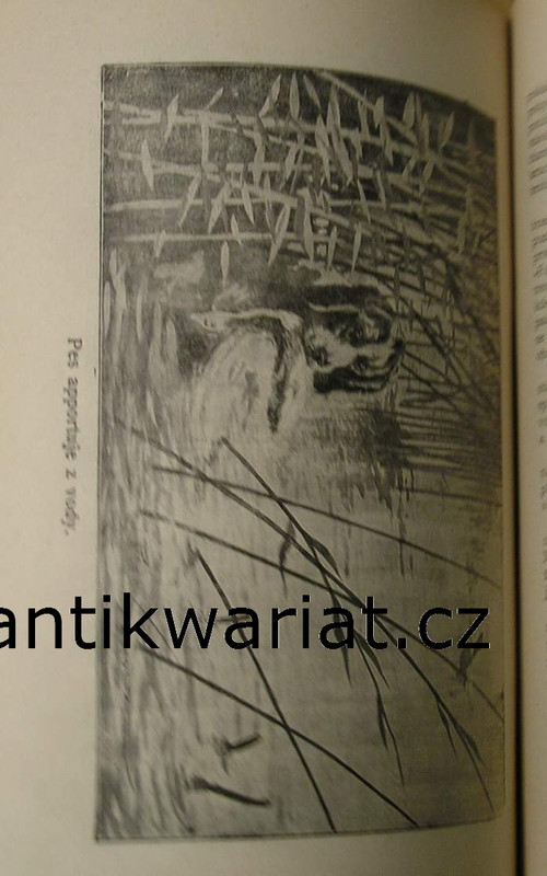 1wa Image00210
