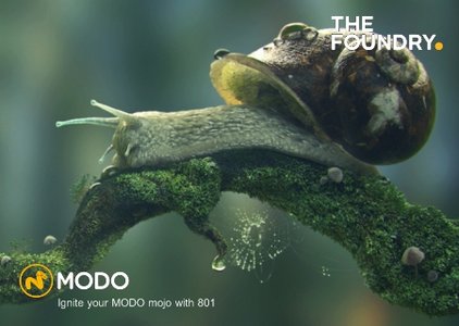 The Foundry Modo 801 SP4 + Assets & Samples
