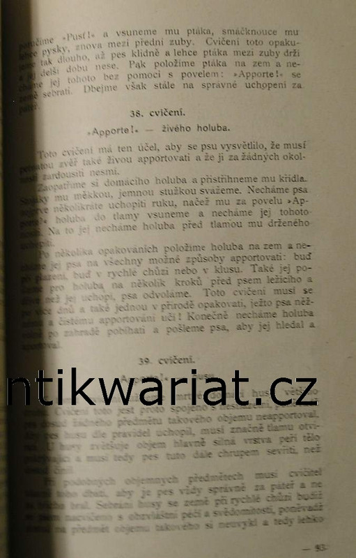 1wa Image00211