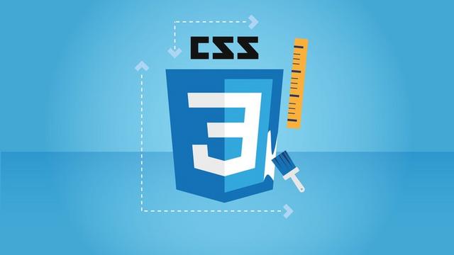 CSS The Complete Guide incl Flexbox Grid Sass