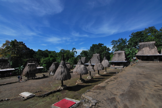 Descubriendo Indonesia en 20 días - Blogs de Indonesia - Flores: El” Jurassic Park” Indonesio (10)