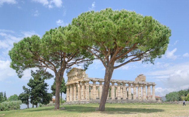 Foto actual del templo de Ceres-Atenea