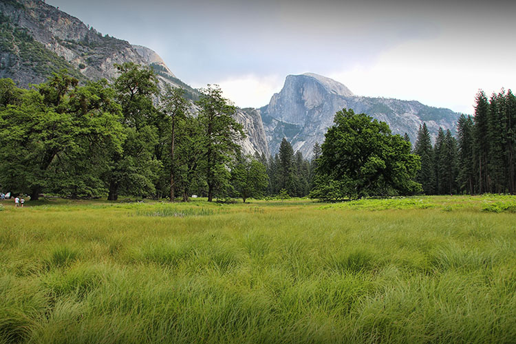 18 días por la Costa Oeste de Estados Unidos: un sueño hecho realidad - Blogs de USA - DIA 6: Fresno – Yosemite – Bishop (12)