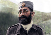 [Слика: image.jpg]