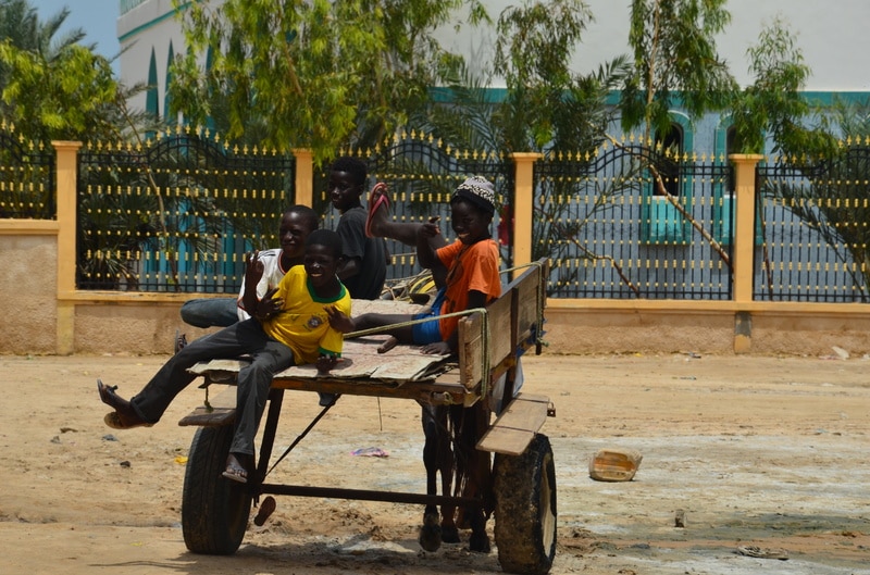 Senegal y sus pueblos-2016 - Blogs de Senegal - SAINT LOUIS-5-8-2016-SENEGAL (2)