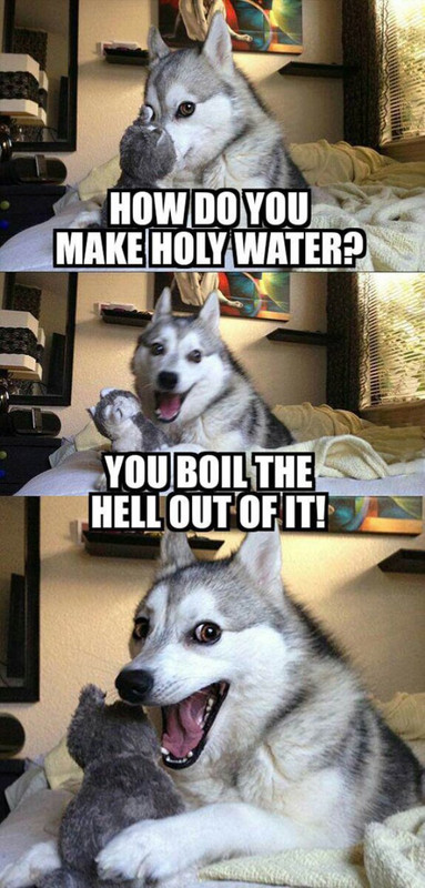 funny-husky-siberian-dog-pun-holy-water.
