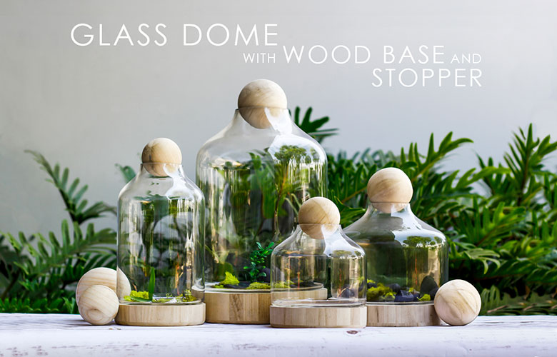 Glass dome terrarium with wood base and wood stopper