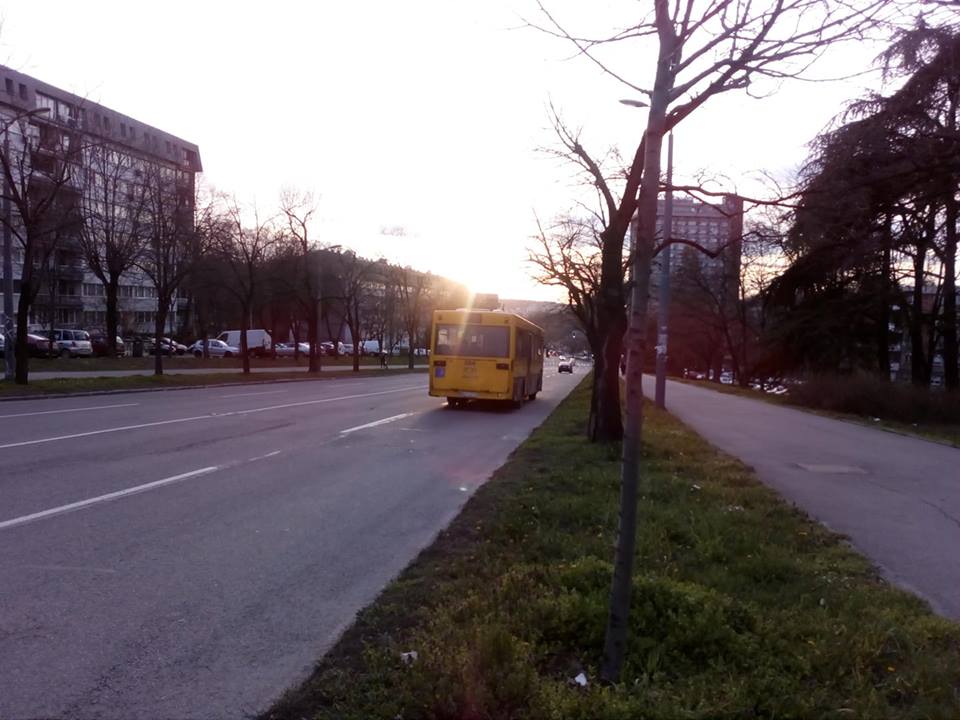 Slika