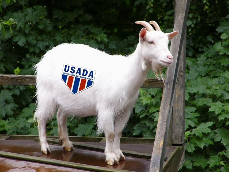 usada_goat.png