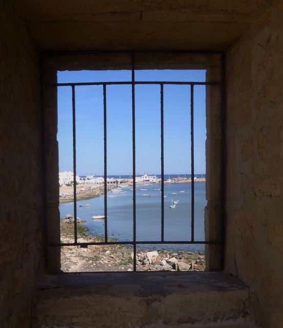 5 Días por el sur de Túnez - Blogs of Tunisia - Isla de Djerba - Estancia y Visitas (2)