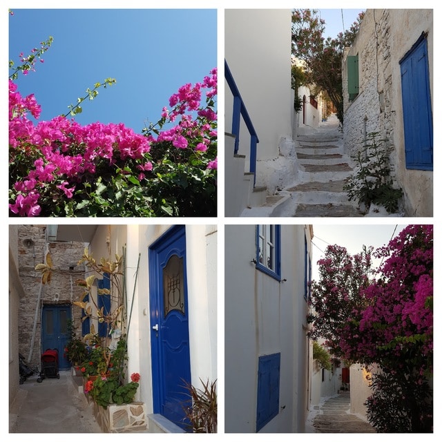 El Egeo tranquilo - Blogs de Grecia - Amorgos, Le Grand Bleu (46)