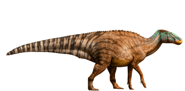 Edmontosaurus-detail-header