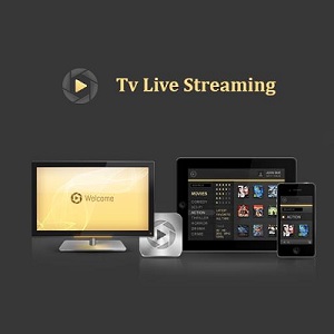 [ANDROID] TV Live Streaming v2 Mod (Ad Free) .apk - ENG