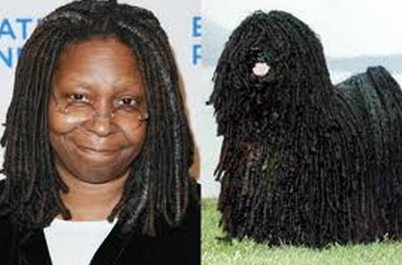 celebrity-look-alike-pictures.jpg