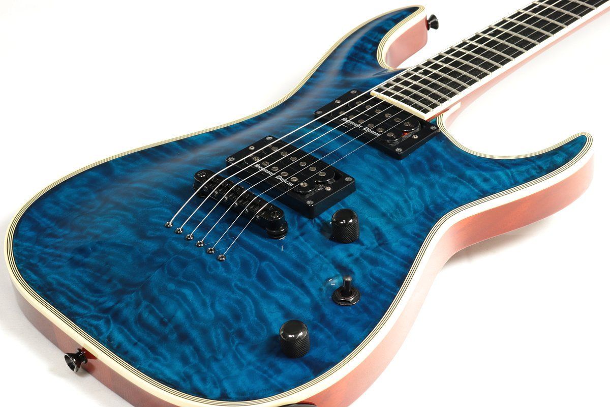 Edwards krv Custom