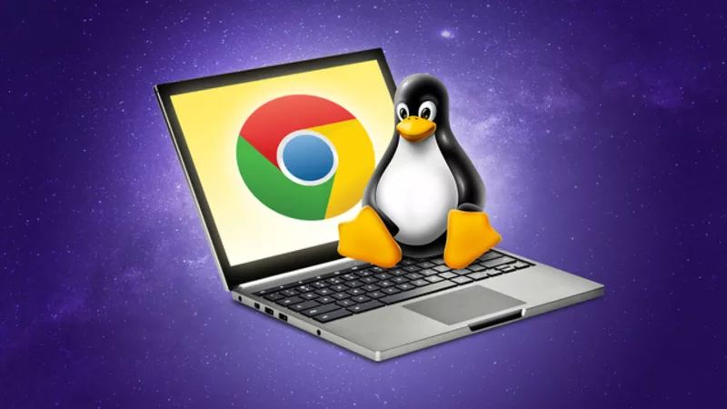 bkql85bz3/Google_Linux_Apps_On_Chrome_OS
