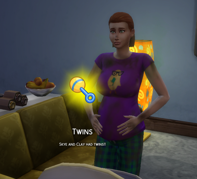 twins_for_skye.png