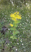 20180506_153524.jpg