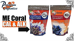 coral_calcium_and_alkalinity.jpg