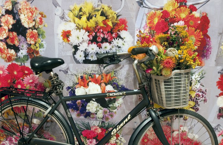 flowers_bicycle