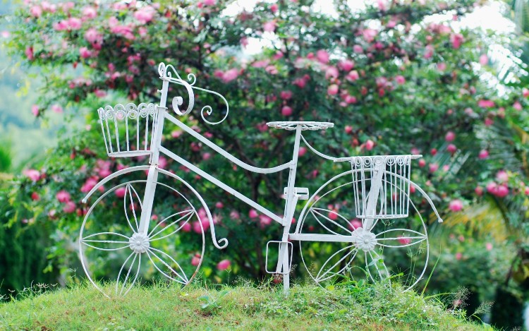 mood_biking_white_wheel_basket_flower_flowers_le