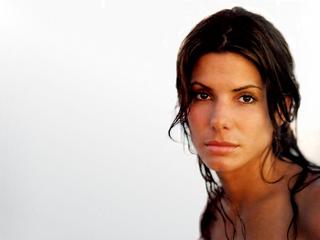 Sandra-_Bullock-sandra-bullock-743482_1024_768.jpg