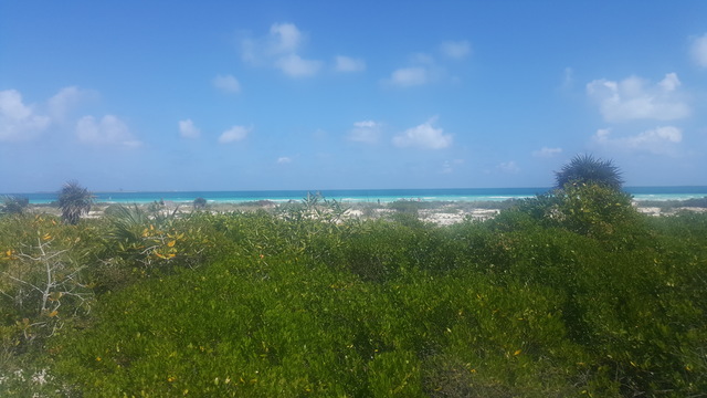 Asere, que vola? Esto es Cuba mi gente! - Blogs of Cuba - 3. CAYO SANTA MARIA (1)
