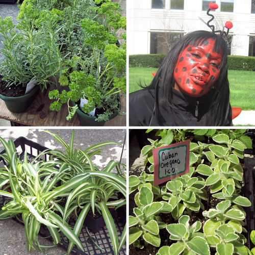 Garden_Days2.jpg