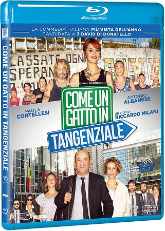 Come Un Gatto In Tangenziale (2017)  .mkv Full HD 1080p DTS AC3 iTA x264 - DDN