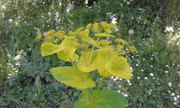 20180506_153539.jpg