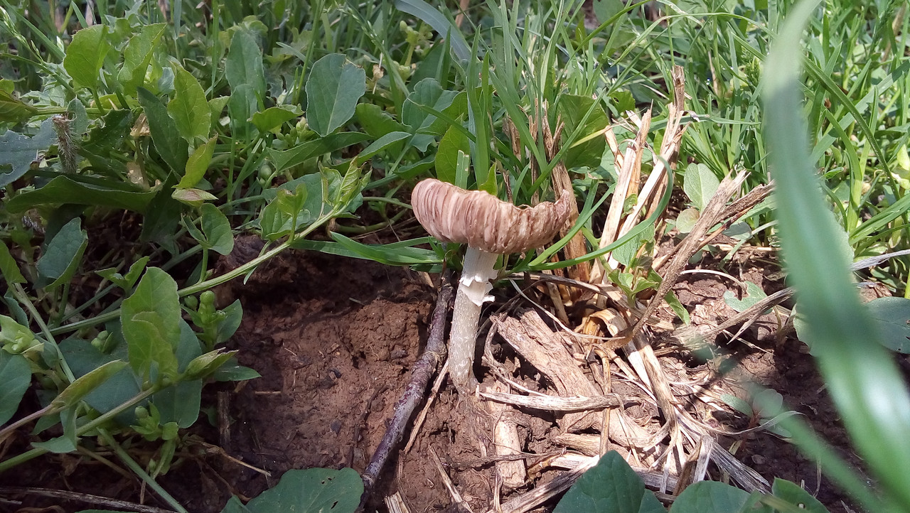 [Слика: 20180517_105012.jpg]