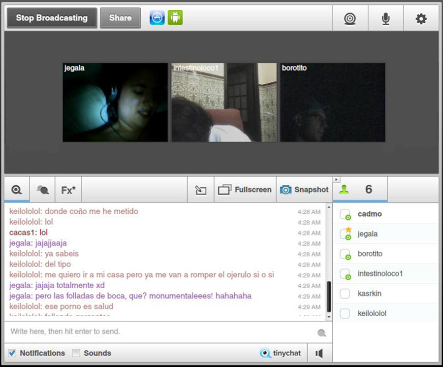 tinychat_pf_12_05_2012_f.jpg