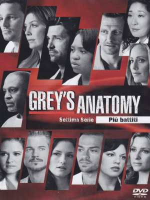 Grey's Anatomy - Stagione 7 (2010-2011) 6xDVD9 COPIA 1:1 ITA-ENG-ESP