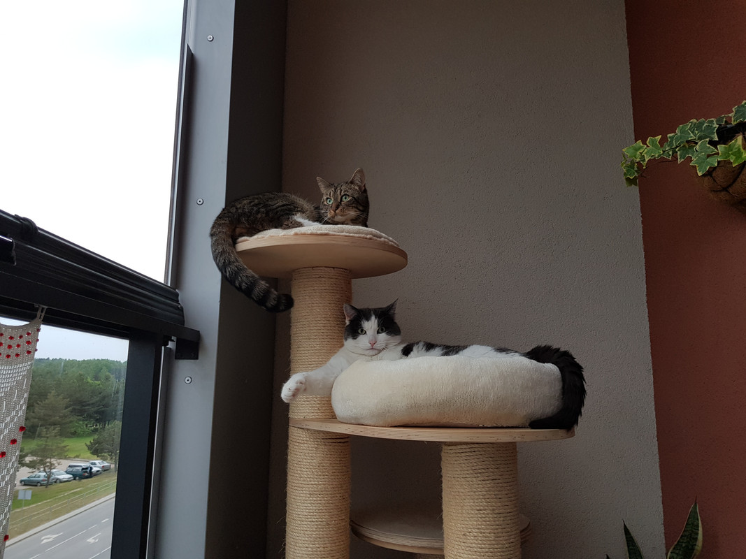 20180516_201531.jpg