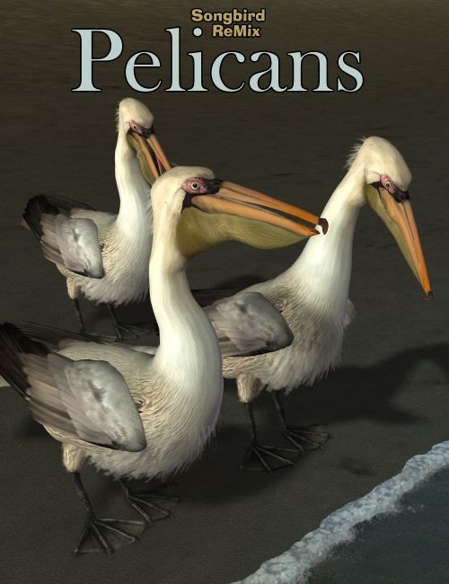 10082 pelicans