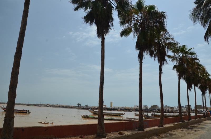 Senegal y sus pueblos-2016 - Blogs de Senegal - SAINT LOUIS-5-8-2016-SENEGAL (44)