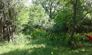 20180506_153454.jpg