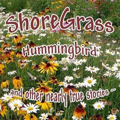 Shoregrass - Hummingbird (2014).mp3-320kbs