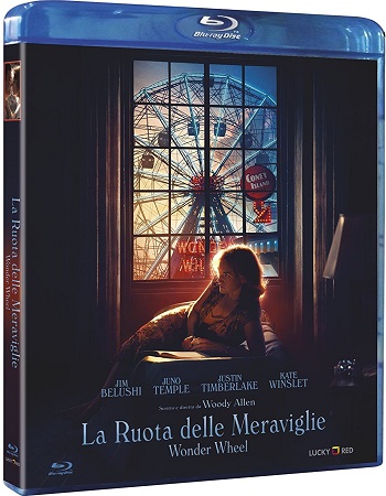 La Ruota Delle Meraviglie (2017) .mkv Full HD 1080p DTS AC3 iTA ENG x264 - DDN