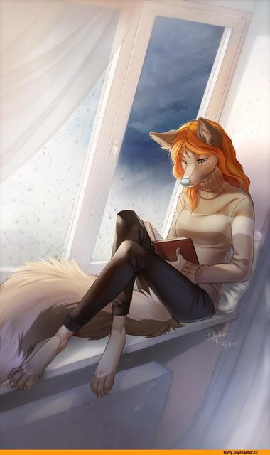 366cc3a17ba6b2d844652deb97856f6d--furry-girl-sexy-furry.jpg