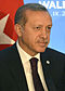 60px-_President_Erdogan_cropped.jpg